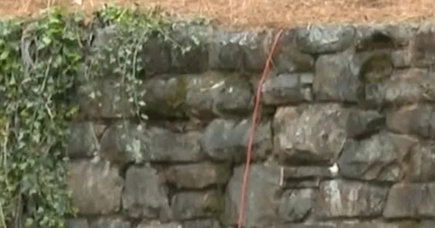 Pink tutus appear on statues across parks in Alabama