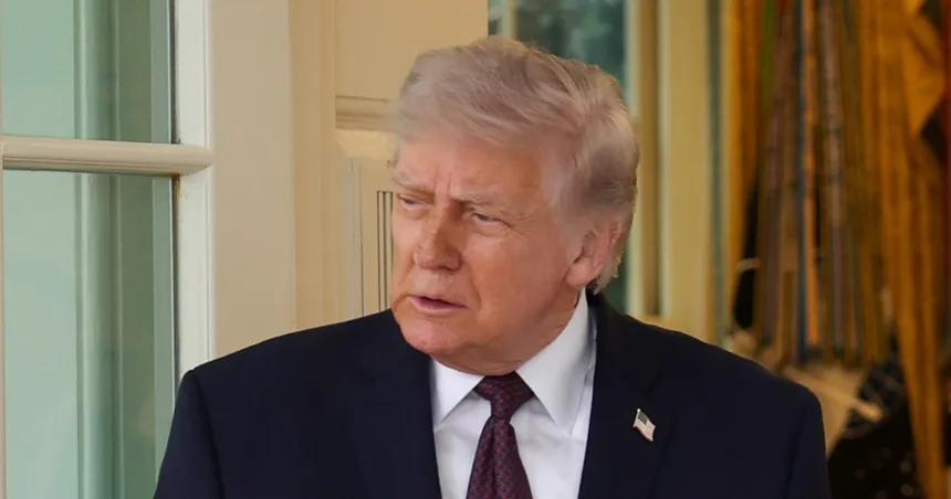 Trump tips McDonald's DoorDash driver at White House