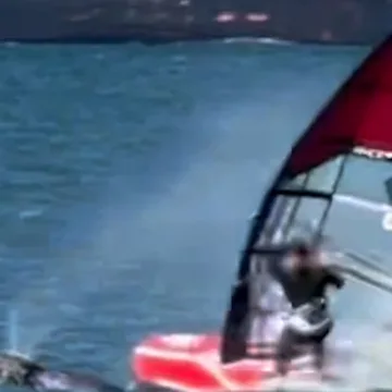 Windsurfer crashes into whale in San Francisco Bay
